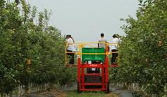 Maquinaria para huerto frutal